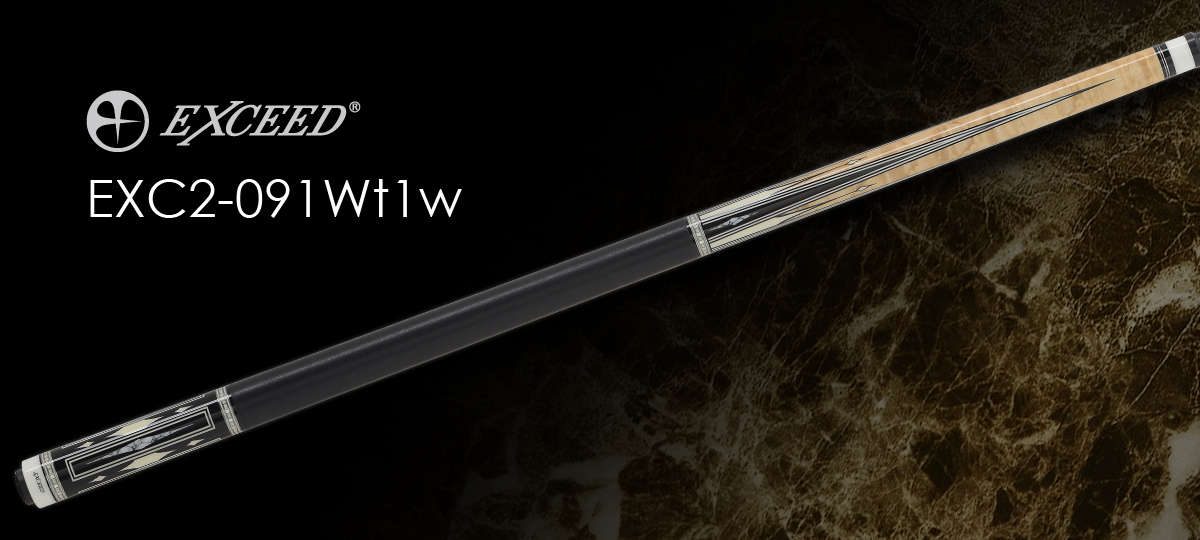 EXC2-091Wt1w_a_PC