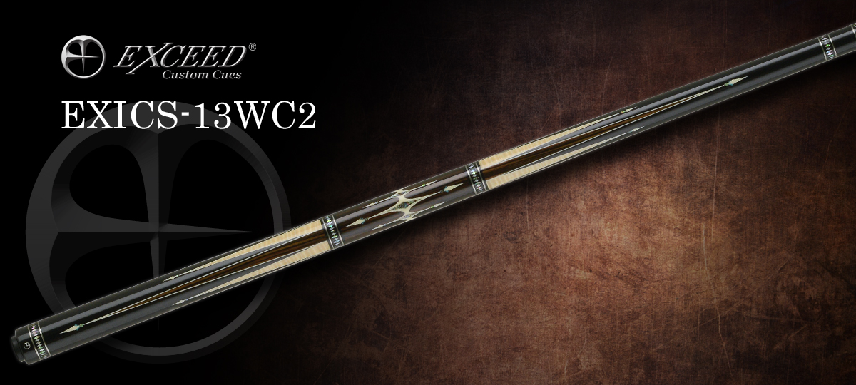 EXICS-13WC2_a_PC