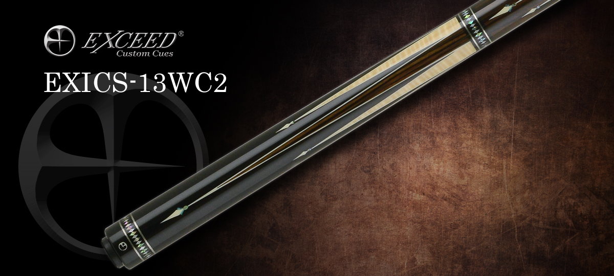 EXICS-13WC2_c_PC2