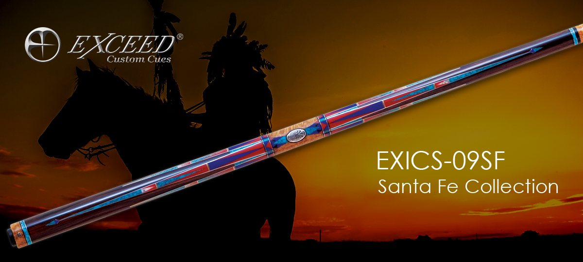 EXICS-09SF 1