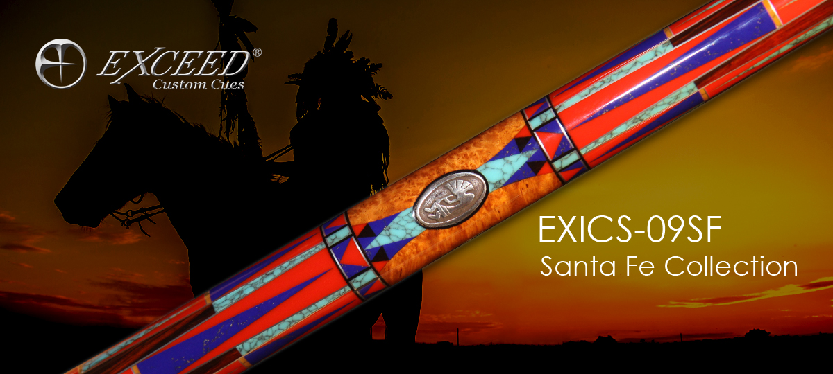 EXICS-09SF 2