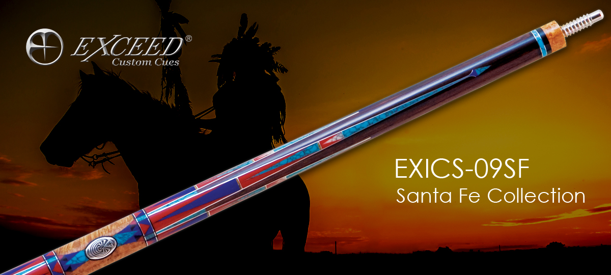 EXICS-09SF 3